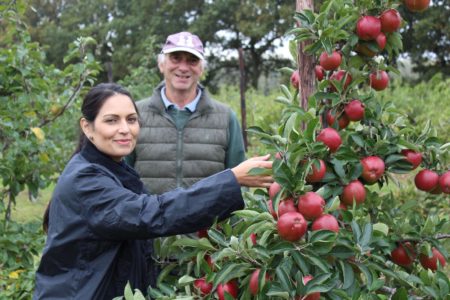 Priti Patel gets some tips on fruit picking from Ralph Hayter.