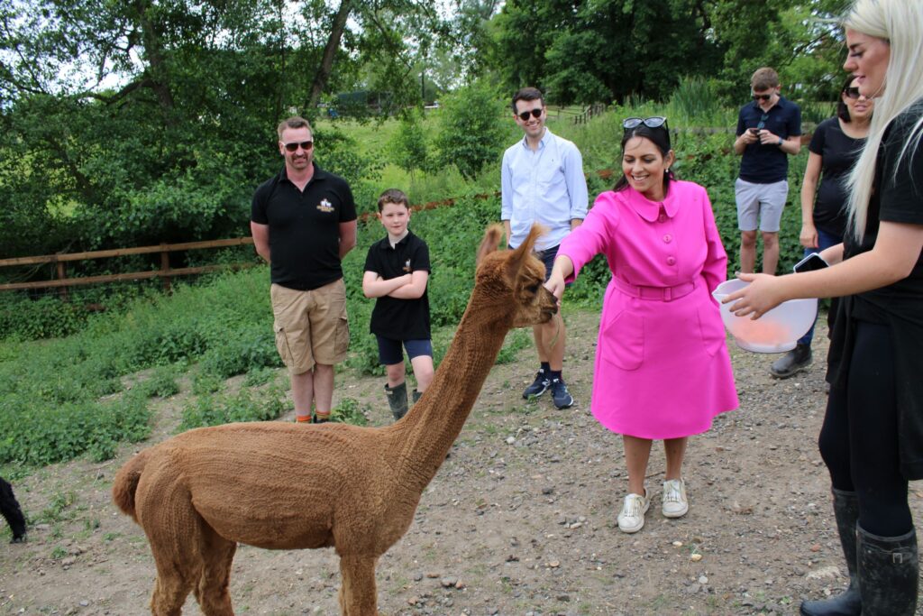 Priti calls in to meet the alpacas