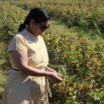 Priti inspects the blackcurrant crop at Feeringbury Manor farm