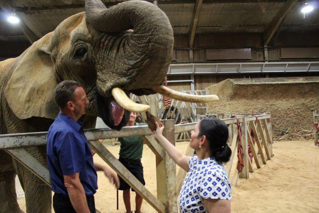 Priti speaks up for Colchester Zoo in the House of Commons