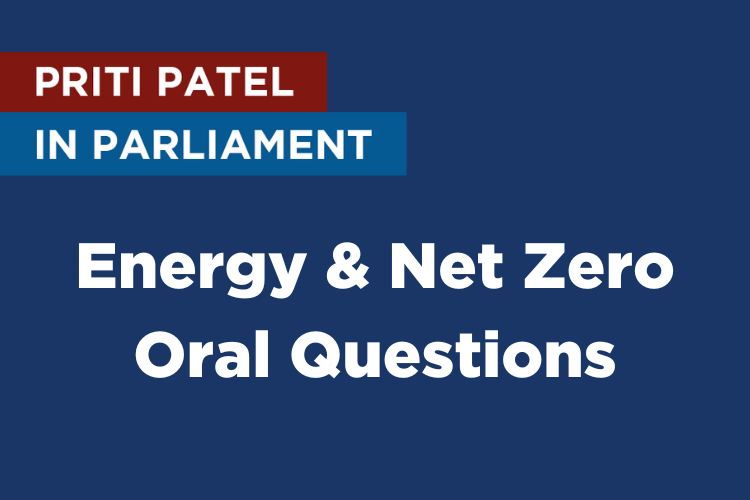 Priti slams National Grid pylon plans in Parliament